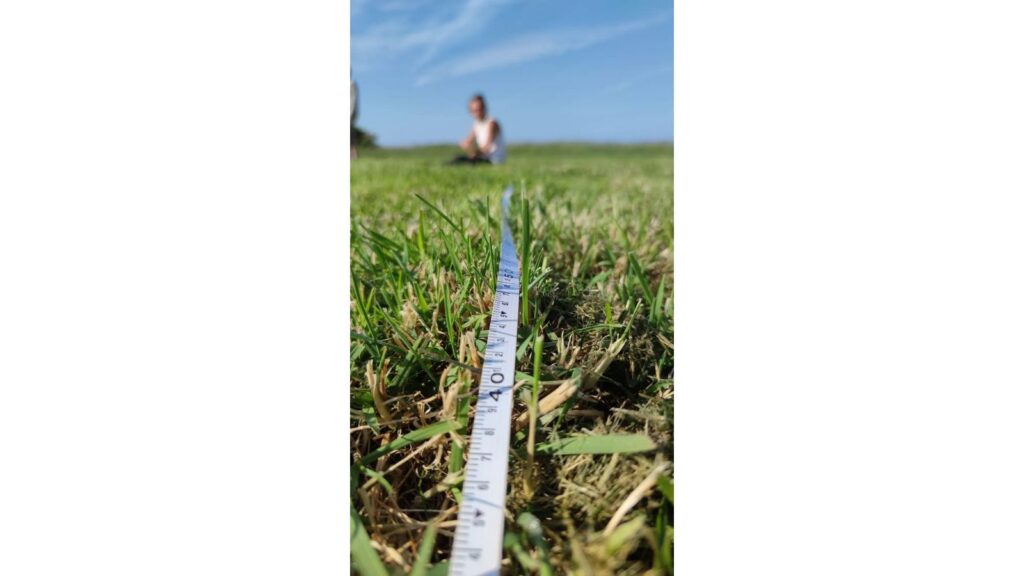 implantation chapiteau