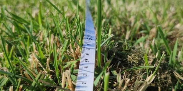 implantation chapiteau